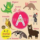 Aardvark Image