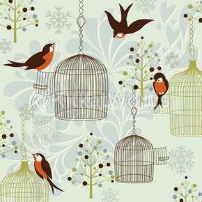 Birdcage Image