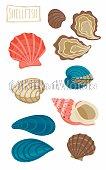 Clam Image