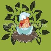 Eggshell Image
