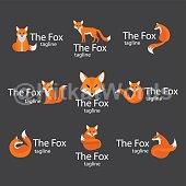 Fox Image