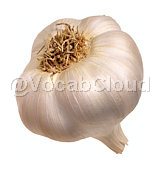 Garlic Image