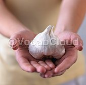 Garlic Image