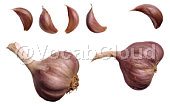 Garlic Image