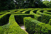 Maze Image