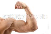 Muscular Image