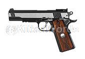 Pistol Image