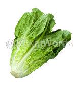 Romaine Image