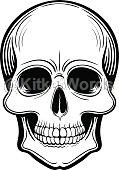 Scull Image