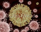 Virus Image