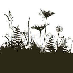 Weeds Image