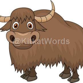 Yak Image