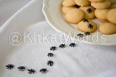 ant Image