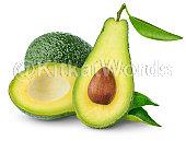 avocado Image
