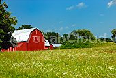 barn Image