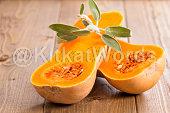 butternut Image