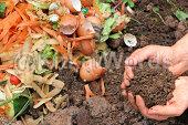 compost Image