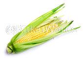 corn Image