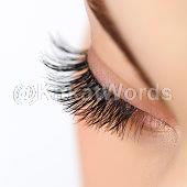 eyelash Image