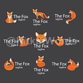 fox Image