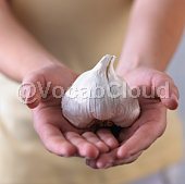 garlic Image