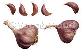 garlic Image