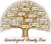 genealogy Image