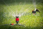 irrigation Image