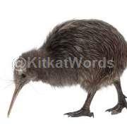 kiwi Image