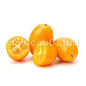 kumquat Image