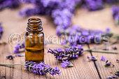 lavender Image