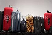 luggage Image