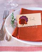 napkin Image