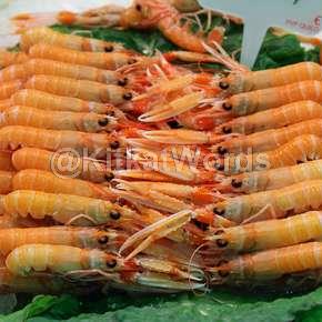 prawn Image