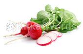 radish Image