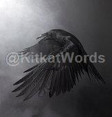 raven Image