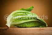 romaine Image