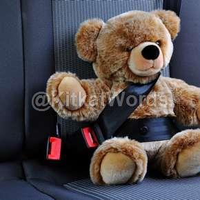 seatbelt Image