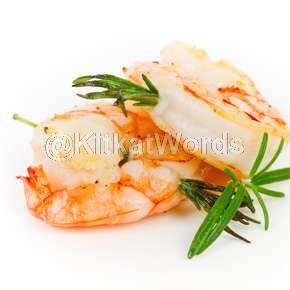 shrimp Image
