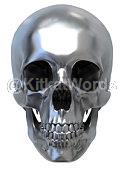 skull Image