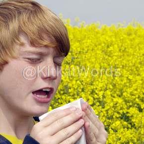 sneeze Image