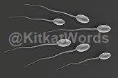 sperm Image