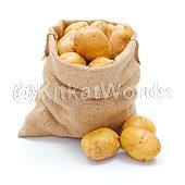 spud Image