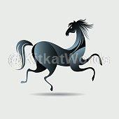 stallion Image