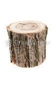 stump Image