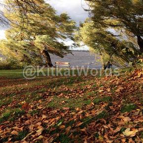 windstorm Image